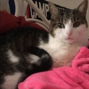 Meet your Posher, Nancy